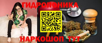 индика Чебоксары