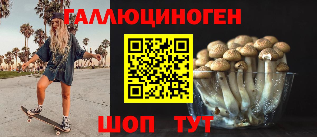 Псилоцибиновые грибы MAGIC MUSHROOMS Бор