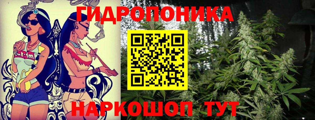 МАРИХУАНА Ganja Бор